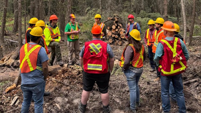 Group of people wearing hard hats and safety vests standing in a circle around a pile of biomass