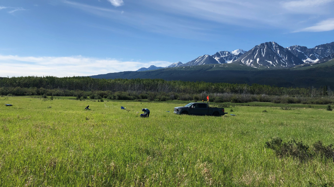 A researcher is crouched down installing an instrument in a green field with mountains in the background and
a pickup truck parked nearby.