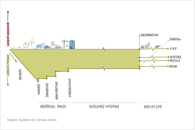 This figure shows carbon storage/emissions on the y-axis, and time on the x-axis. There is carbon storage during "growth" and small carbon emissions at the "Harvest", "Transport", "Manufacture", and "Construction" phases. During the building lifespan the carbon is stored. The "end of life" has several different options including Incineration, Landfill, C.H.P., Biochar, Recycle, and Reuse.