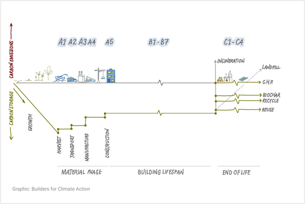 This figure shows carbon storage/emissions on the y-axis, and time on the x-axis. There is carbon storage during "growth" and small carbon emissions at the "Harvest", "Transport", "Manufacture", and "Construction" phases. During the building lifespan the carbon is stored. The "end of life" has several different options including Incineration, Landfill, C.H.P., Biochar, Recycle, and Reuse.

LCA labelling has been added to show the A1-A5 at the Material Phase, B1-B7 at the Building Lifespan, and C1-C4 at the end of life.