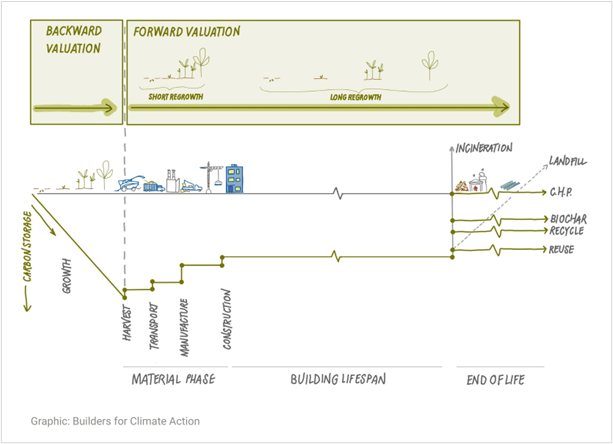 Diagram illustrating carbon storage and growth across building lifecycle phases, from material phase through building lifespan to end of life. It highlights backward and forward valuation with short and long regrowth, showing carbon storage decline during harvest, transport, manufacturing, and construction, followed by carbon release or recycling options at end of life.