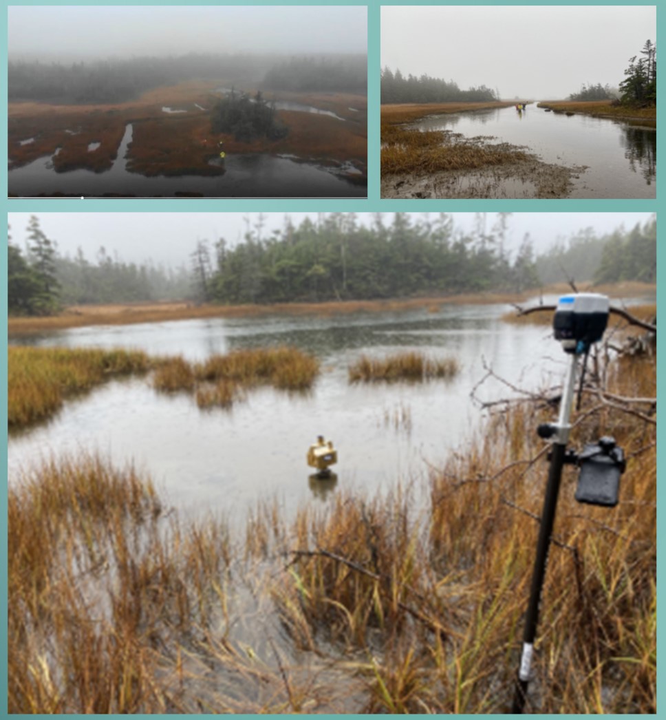 Compilation of landscape images: An aerial image that is so foggy it is difficult to see the distance; two researchers wading hip deep in the far distance of a marshy area; an example of a piece of equipment deeply embedded in the marshy landscape.