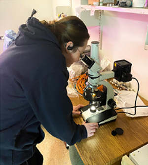 A student is trained in geoscience analysis