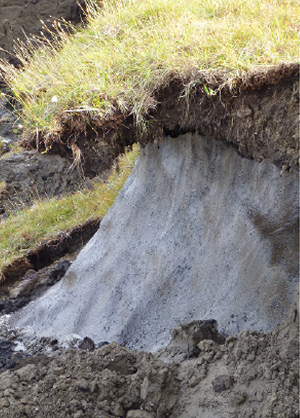 Overhanging turf caused by thawing permafrost