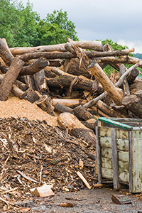 A pile of cut logs stacked beside sawdust, wood chips and a storage crate.