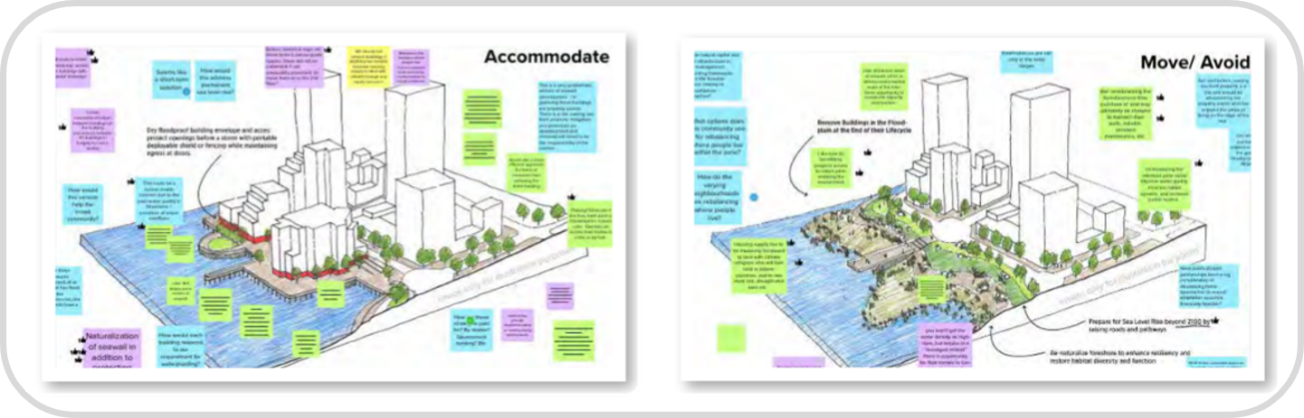 Diagrams comparing adaptation strategies with those of displacement or avoidance.