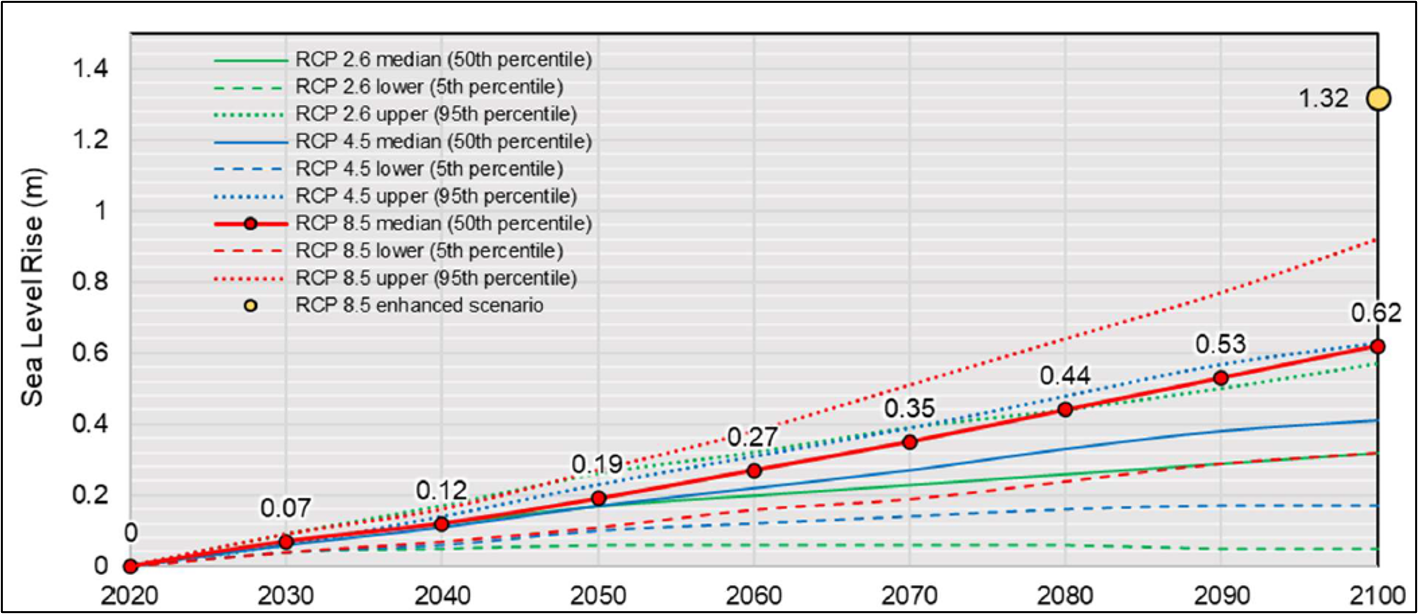 Line graph of projected sea level rise under RCP scenarios.
