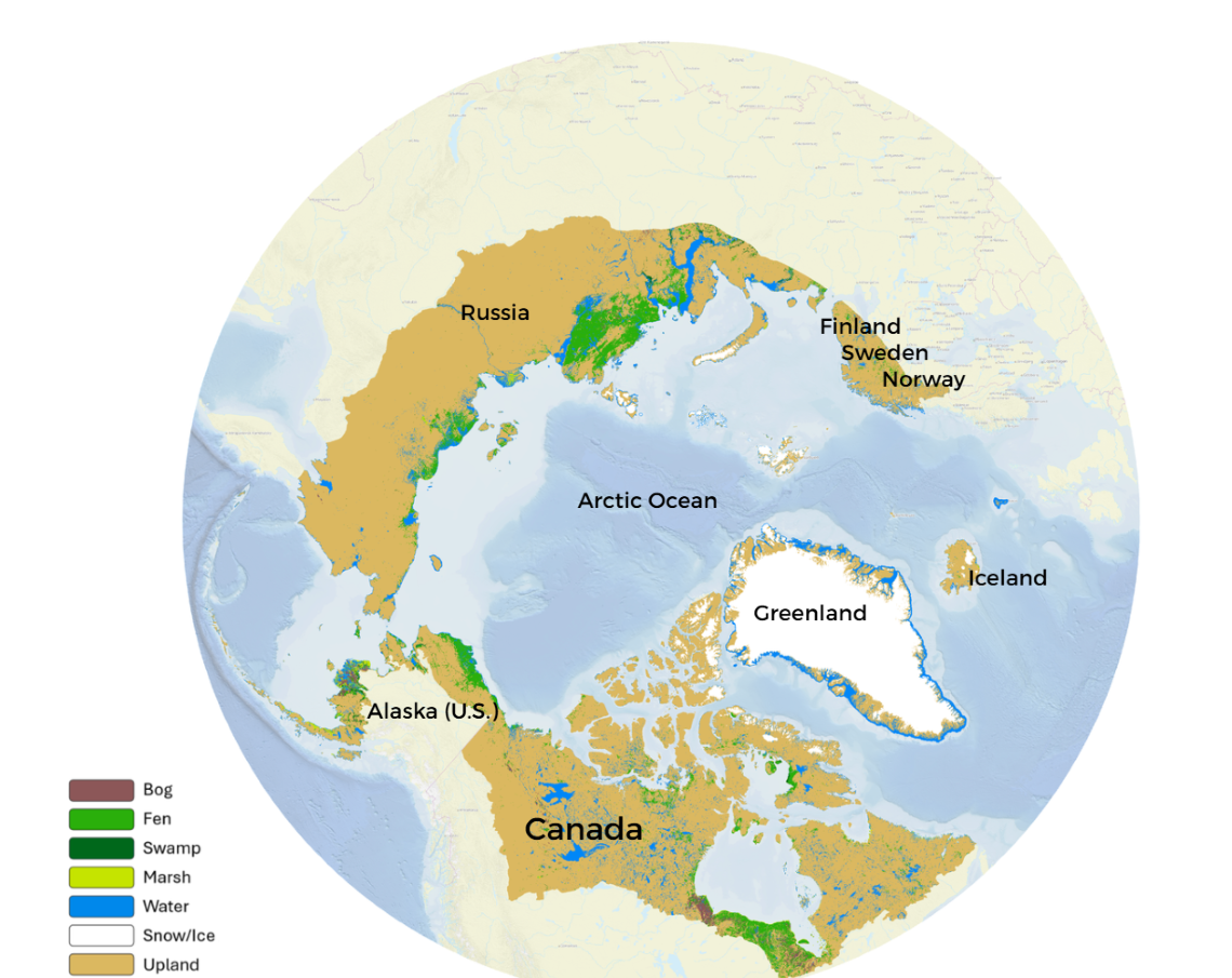 Circumpolar map of Arctic wetlands, showing where different types of wetlands are found.