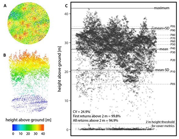 Different views of lidar data for the area of a ground plot (top view, side view).