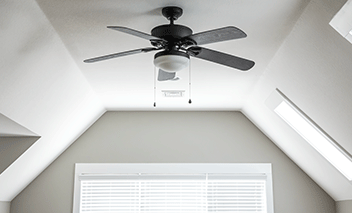 Ceiling fan