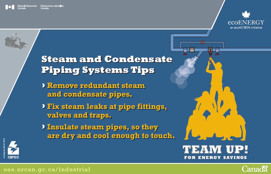 STEAM AND CONDENSATE PIPING SYSTEMS TIPS (POSTER) (MAX 25)