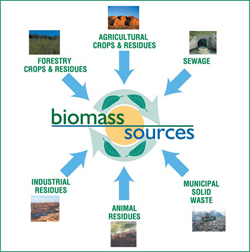 biomass sources