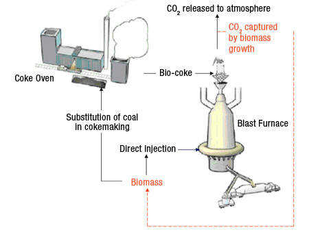 Illustration of Biofuel Application