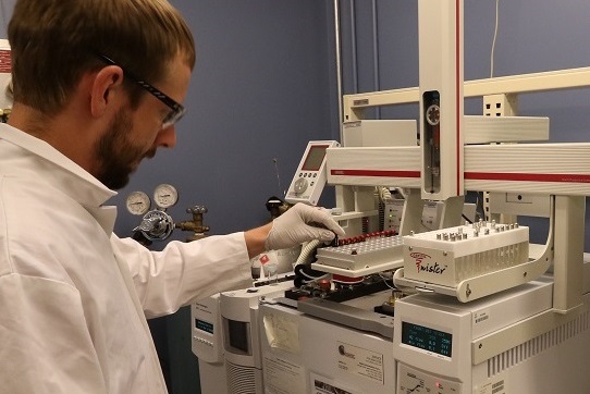 A scientist loads samples onto a gas chromatograph instrument coupled with Mass spectrometer (GCMS) for analysis