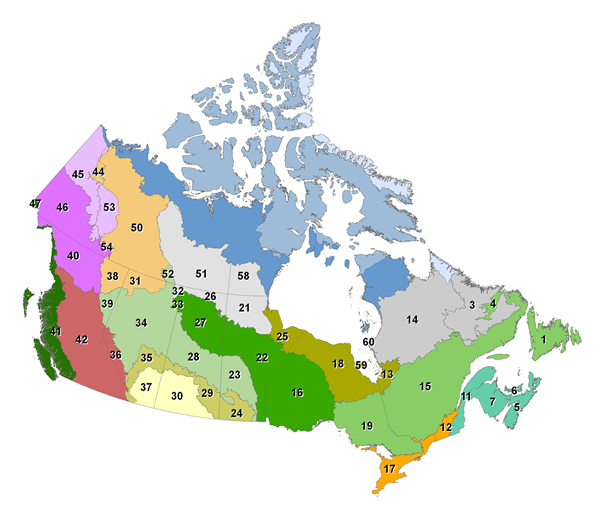 Small-scale map outlining the boundaries of the 60 reconciliation units used in the NFCMARS in relation to the terrestrial ecozones of Canada.
