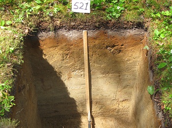 Soil pit