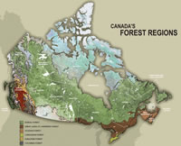 Canada’s forest regions. Boreal forest, Great Lakes-St. Lawrence forest, Acadian forest, Carolinian forest, Subalpine forest, Columbia forest, Montane forest, Coastal forest. Nonforest: tundra, grasslands.