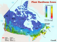 Plant hardiness zones map