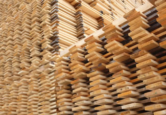 Pine timber planks