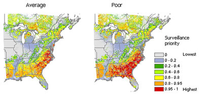 Broad-scale surveillance priorities for Sirex woodwasp in eastern North America. A comparison of the two maps shows that as knowledge about the pest increases (from poor to average), surveillance priorities change. 