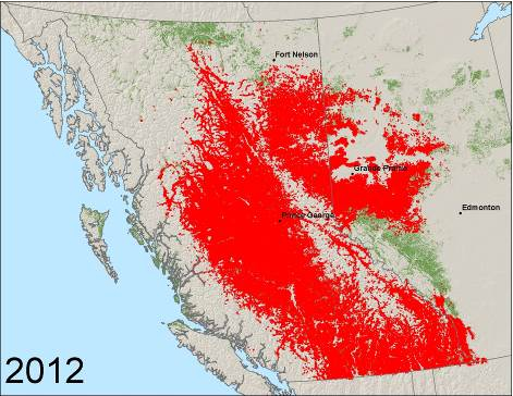 Observed presence of mountain pine beetle from 1999 to 2012.