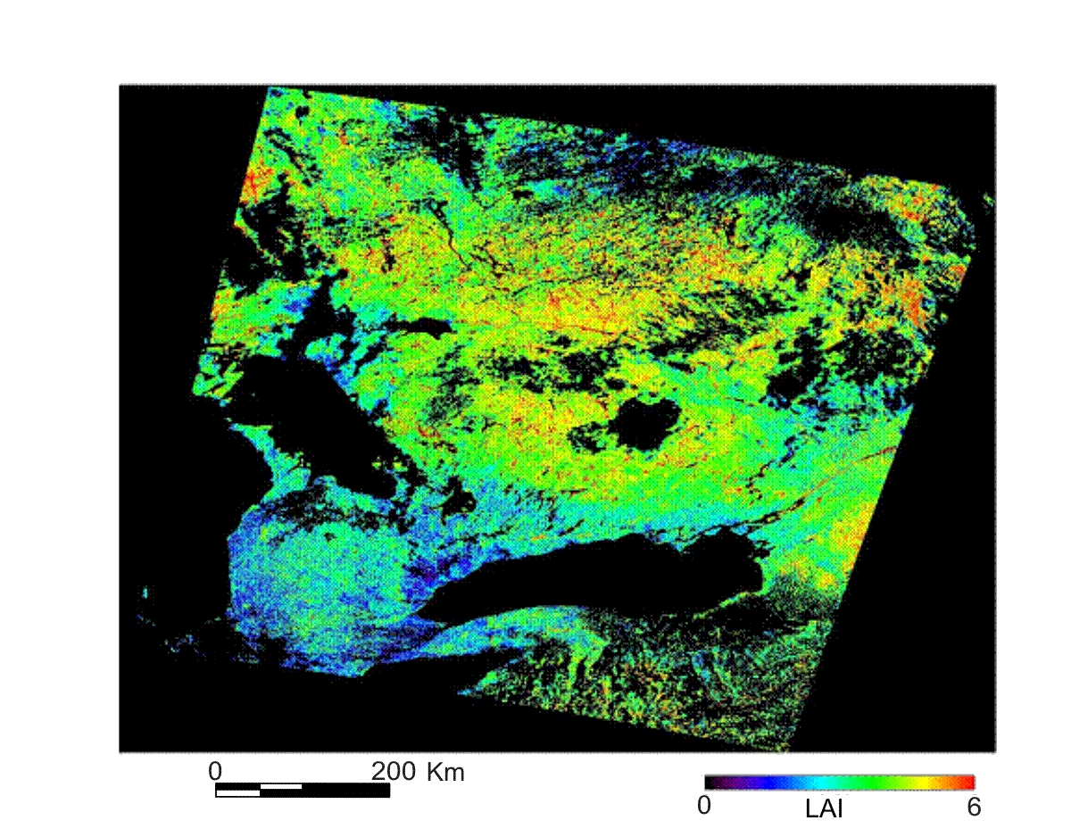 Figure 1: The goal of this figure is to illustrate a Leaf Area Index (LAI) map, differenciating bare ground as low LAI index and ranging to high LAI index for dense canopy forest.