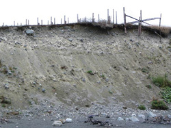 FIGURE 14b: Active bluff erosion, Middle Cove, NL.