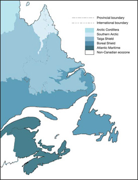 Map depicting Terrestrial ecozones of Atlantic Canada