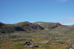Phot showing Arctic Cordilleran ecozone - tundra landscape and vegetation