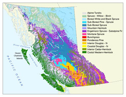 map of British Columbia's showing the province’s14 different biogeoclimatic zones