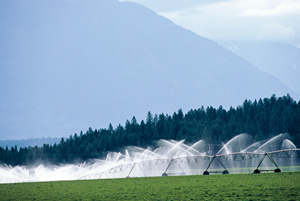 Photo of irrigation system on agricultural land