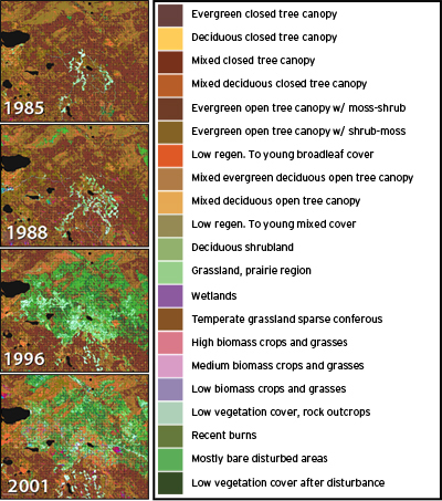 The disruption of ecosystems in the region of Prince Albert National Park from four Landsat images acquired between 1985 and 2001.