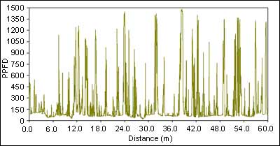 Figure 2: TRAC instrument and an example of a 60m transect in a black spruce stand. Spikes represent sun flecks intensity (PPFD) through gaps in the canopy.