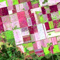 Image of agricultural fields