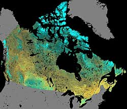Classification of the land cover of Canada
