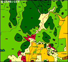 Forest cover map derived from SAR data