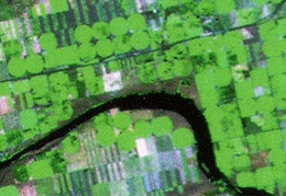 Crop circles seen in farmers' fields around the world (Landsat TM)