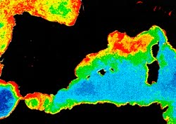 Ocean colour data of Mediterranean Sea