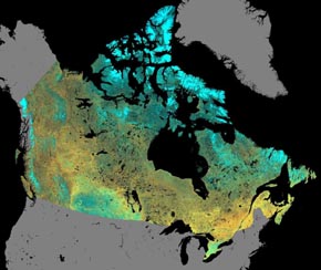 NOAA landcover image mosaic of Canada