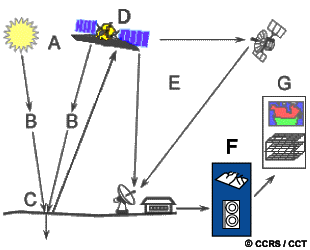 interpretation and analysis