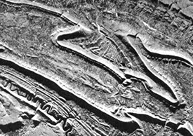 Syncline structures on SAR imagery