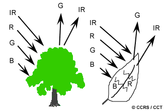 Radiation - Target Interactions