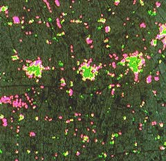 Rural to urban land use change in Egypt