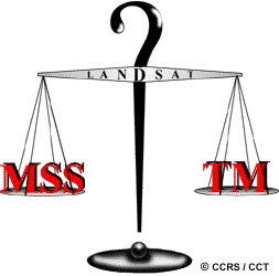 MMS vs TM
