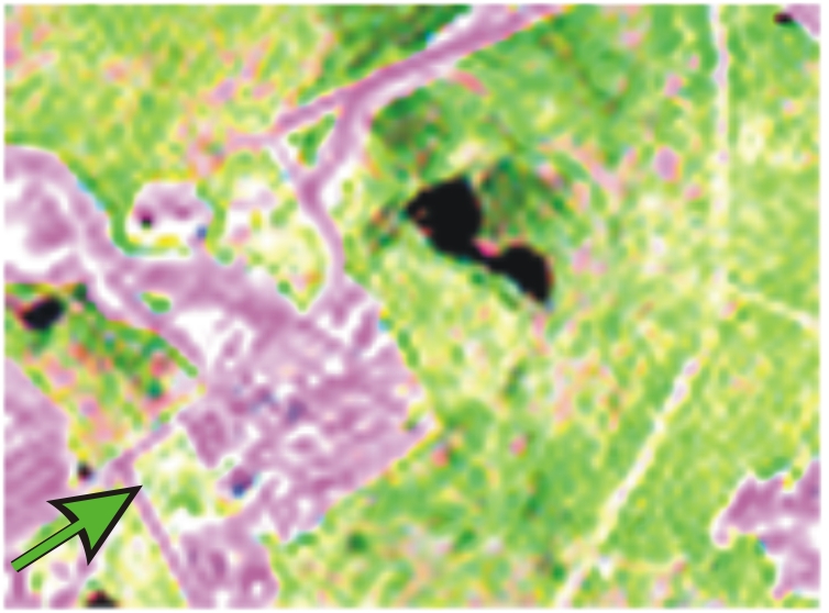 Satellite image: LANDSAT TM