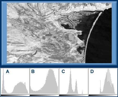single band satellite image and four histograms