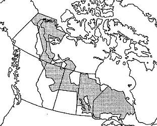 Map of Aerodist coverage in Canada shown in grey.  Covers a diagonal pattern from the Yukon to Ontario