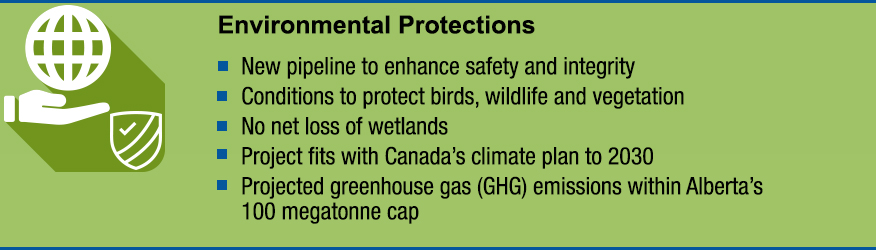 Infographic: Environmental Protections