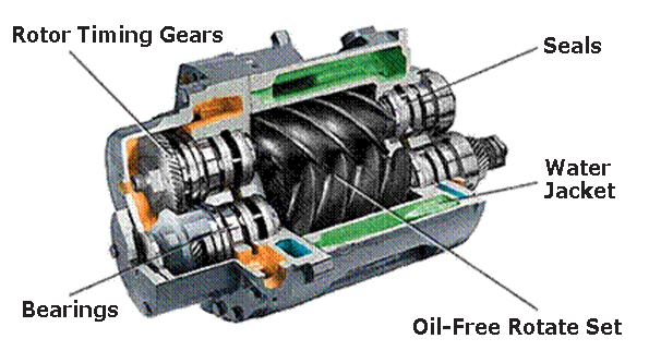 Figure 6 - Cross Section of a Representative Rotary Screw Compressor