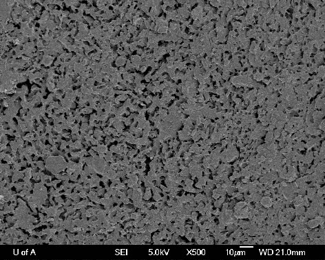 Cryo-SEM image of mature fine tailings 